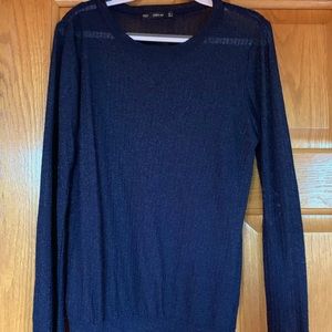 Sparkly Zara Long Sleeved Knit